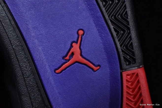 Raptors